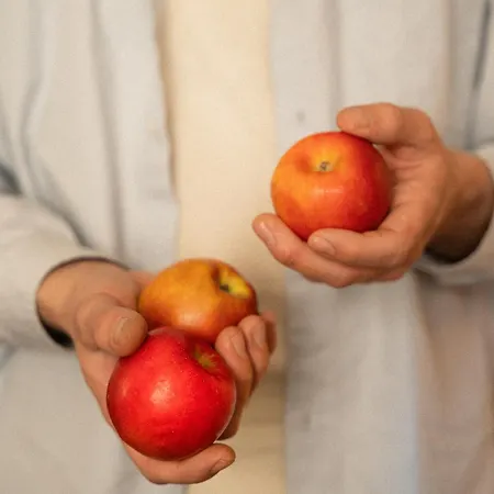 Gaestehaus Freitag Kleine Guest house