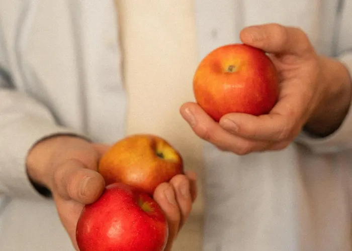 Gaestehaus Freitag Kleine Guest house